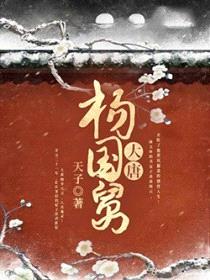 大唐杨国舅封面