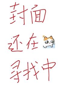 回到老婆少年时封面