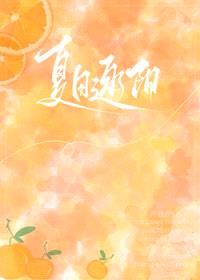 夏日逐阳封面