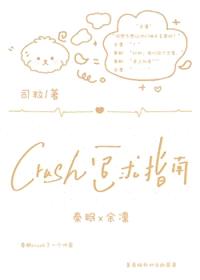 crush追求指南封面