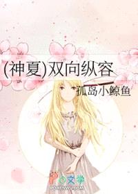 [神夏同人] 双向纵容封面