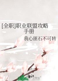 [全职同人] 职业联盟攻略手册封面