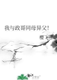 [历史同人] 我与政哥同母异父封面