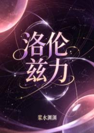 洛伦兹力[1v2]封面