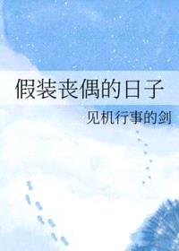 假装丧偶的日子封面