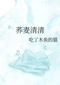 荞麦清清封面
