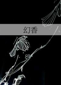 幻香封面