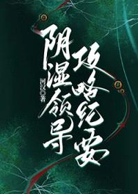 阴湿领导攻略纪要封面