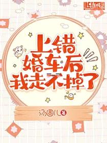 上错婚车后我走不掉了封面