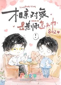 相亲对象是老师怎么办封面