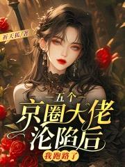 五个京圈大佬沦陷后，我跑路了封面