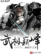 武极巅峰封面