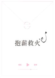 抱薪救火（高干）封面