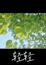 轻轻【NP】封面