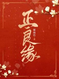 正良缘封面