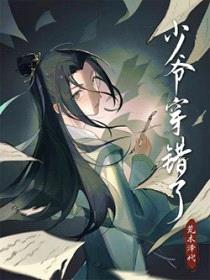 少爷穿错了封面