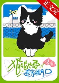 猫猫也要养家糊口封面