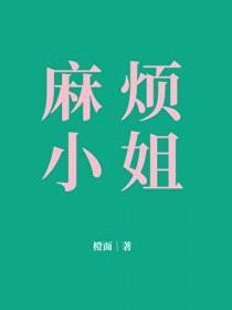 麻烦小姐封面
