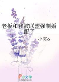 老板和我被联盟强制婚配了封面