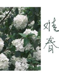 难春[兄妹]封面