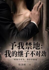 予我禁地：我的继子不对劲封面