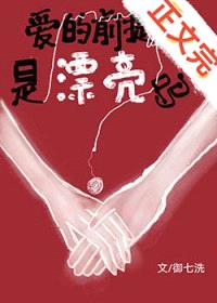 爱的前提是漂亮吗封面