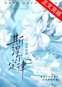 斯涅尔定律封面