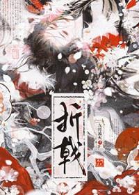 折戟封面