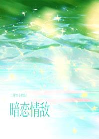 暗恋情敌封面