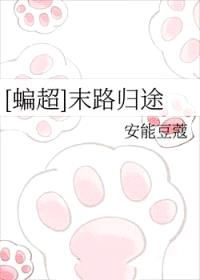 [蝙超同人] 末路归途封面
