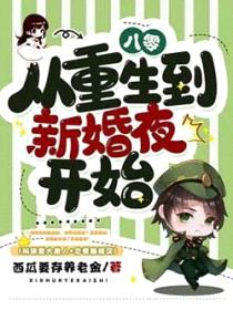 八零，从重生到新婚夜开始封面
