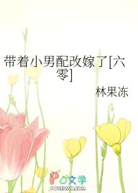 带着小男配改嫁了[六零]封面