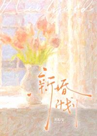 新婚计划封面
