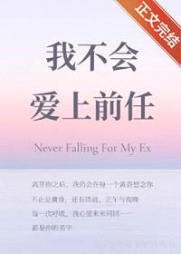 我不会爱上前任封面