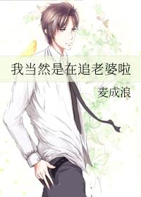 我当然是在追老婆啦封面