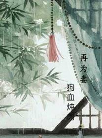 再为妻封面