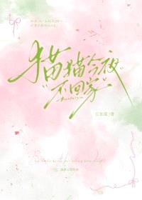 猫猫今夜不回家封面