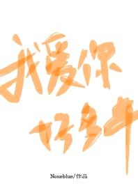 我爱你好多年封面
