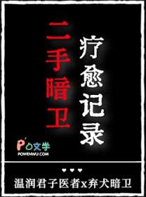 二手暗卫疗愈记录封面