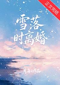 雪落时离婚封面