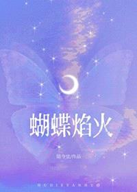 蝴蝶焰火/得逞封面