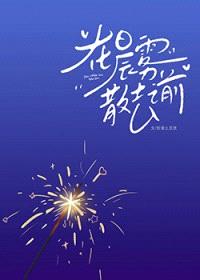 在晨雾散去之前封面