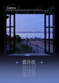 翡冷夜封面