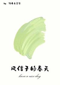 风信子的春天封面