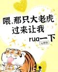 喂那只大老虎过来让我rua一下封面