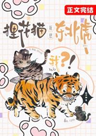 我，狸花猫，抚慰东北虎封面