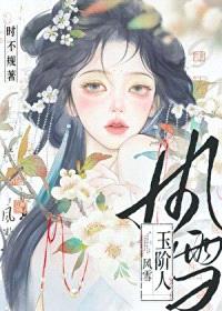 风雪玉阶人封面