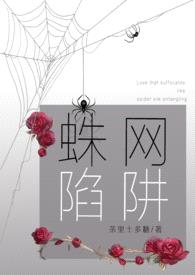 蛛网陷阱（病娇强制爱 合集H）封面