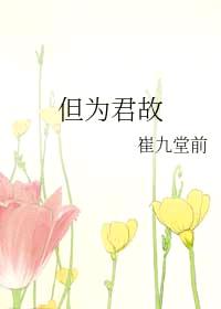 但为君故GL封面