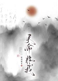 天命非我封面